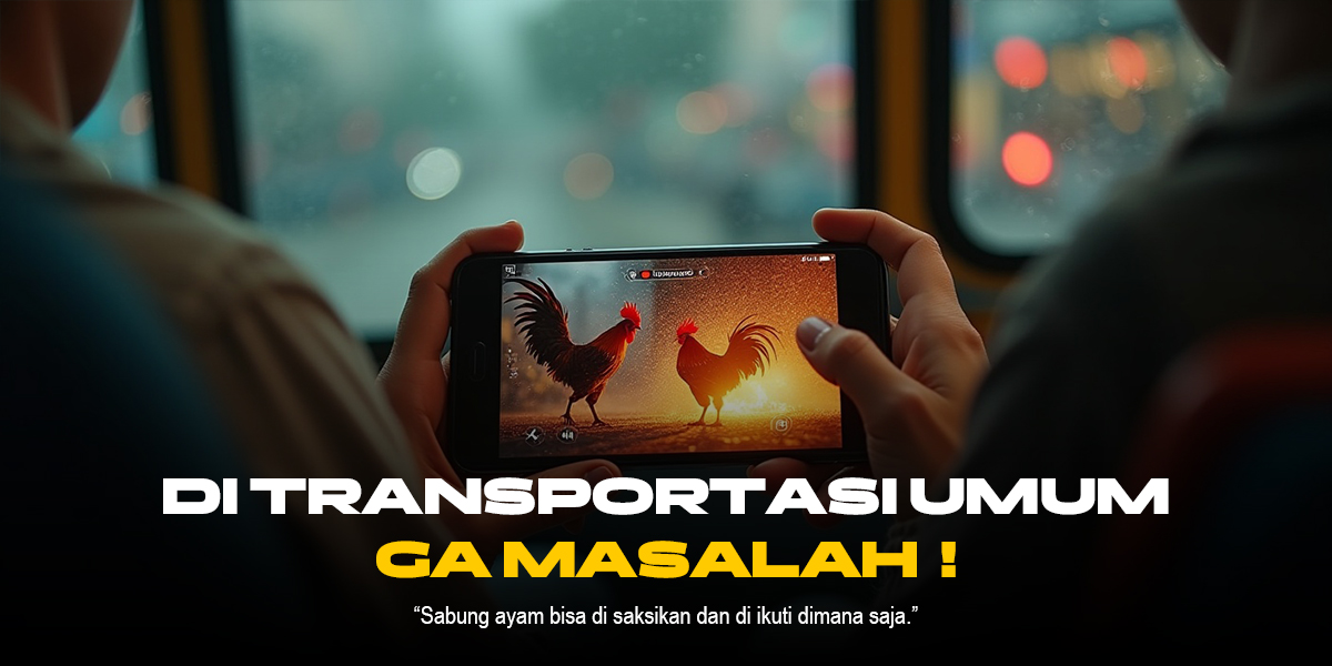 Kehebatan Ayam Bangkok di Sabung Ayam SV388: Odds dan Strategi Menang
