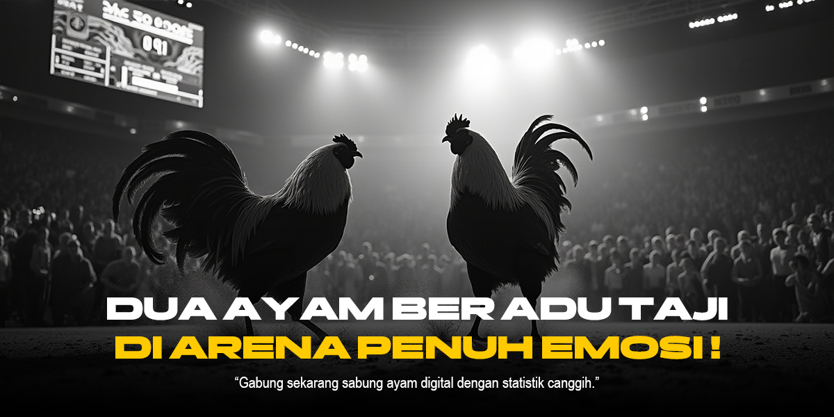 Sabung Ayam: Tradisi, Strategi, dan Perkembangan Modernnya